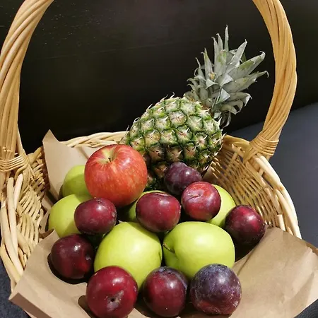 Akteon 슈투트가르트